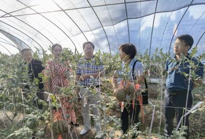 齊魯農(nóng)業(yè)專家重慶行 科技賦能農(nóng)業(yè)發(fā)展的探索與實(shí)踐